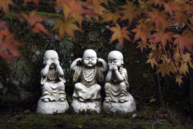 Is tolerance killing your culture? Is tolerance killing your culture?