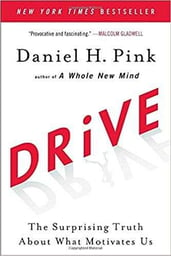Drive: The Surprising Truth About What Motivates Us | Daniel.H Pink- Best business books