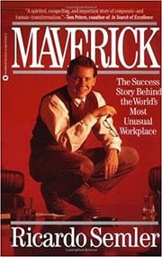 Best books for empowerment - Maverick: The Success Story Behind the World's Most Unusual Workplace by Ricardo Semler - best business books