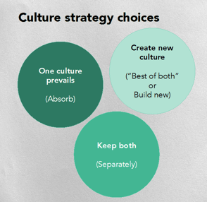 culture strategy choices integration choosing merger effective most combined organisations future getting three main there