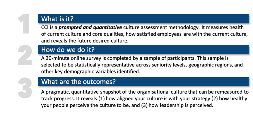 At Walking the Talk, our survey is called CCI: Culture Capability index. It is a behavioural tool that measures 90 detailed behaviours across six cultural archetypes and three core qualities of courageous leadership for healthy culture